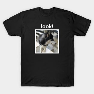 Cute Black Husky Dog Looking Away White Design T-Shirt